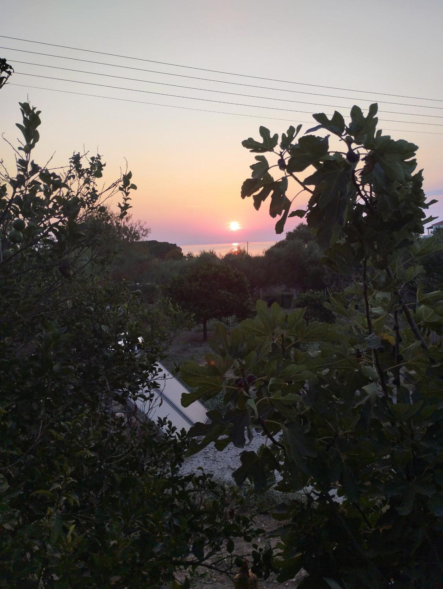 טרגקי Stelios Studios מראה חיצוני תמונה